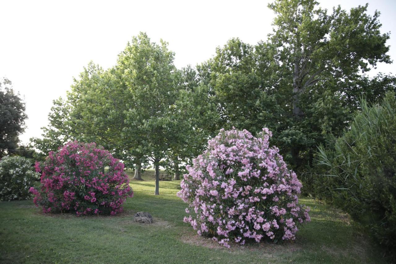 Agriturismo La Fonte Di San Girio Guest House โปเตนซา ปิเชนา ภายนอก รูปภาพ