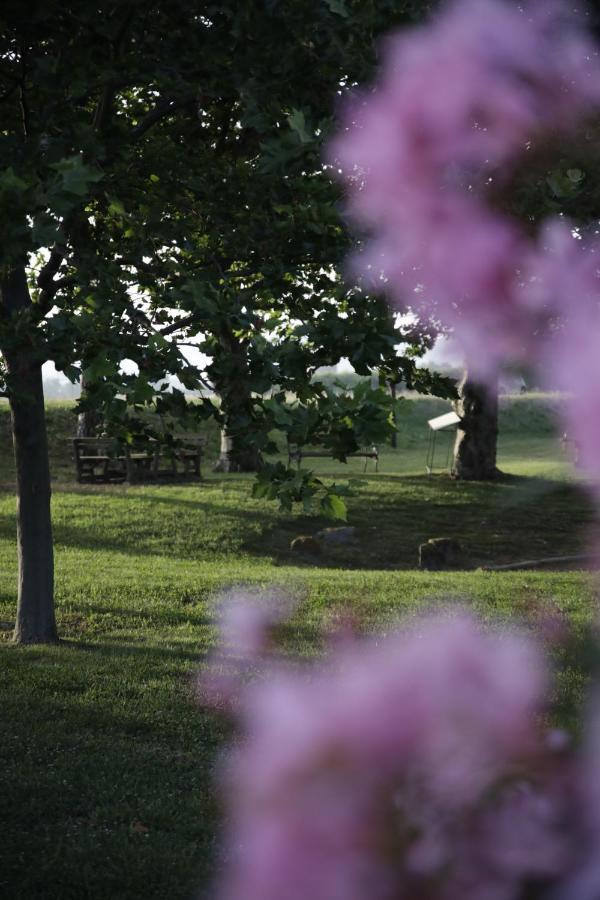 Agriturismo La Fonte Di San Girio Guest House โปเตนซา ปิเชนา ภายนอก รูปภาพ