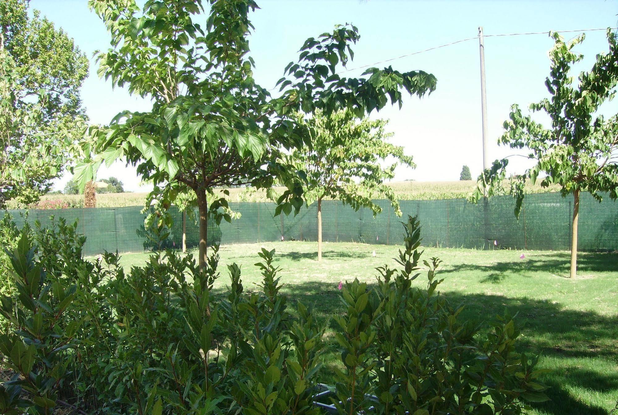 Agriturismo La Fonte Di San Girio Guest House โปเตนซา ปิเชนา ภายนอก รูปภาพ